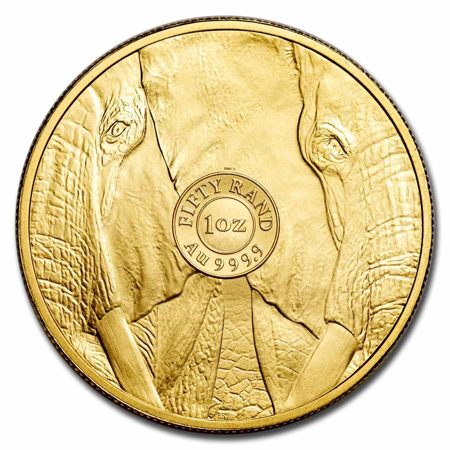 1 Oz Gold Coin 2024 South African Gold Big Five Elephant - Image 2